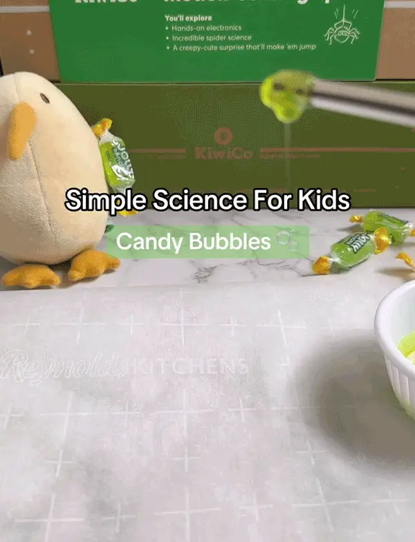bubbles.webp