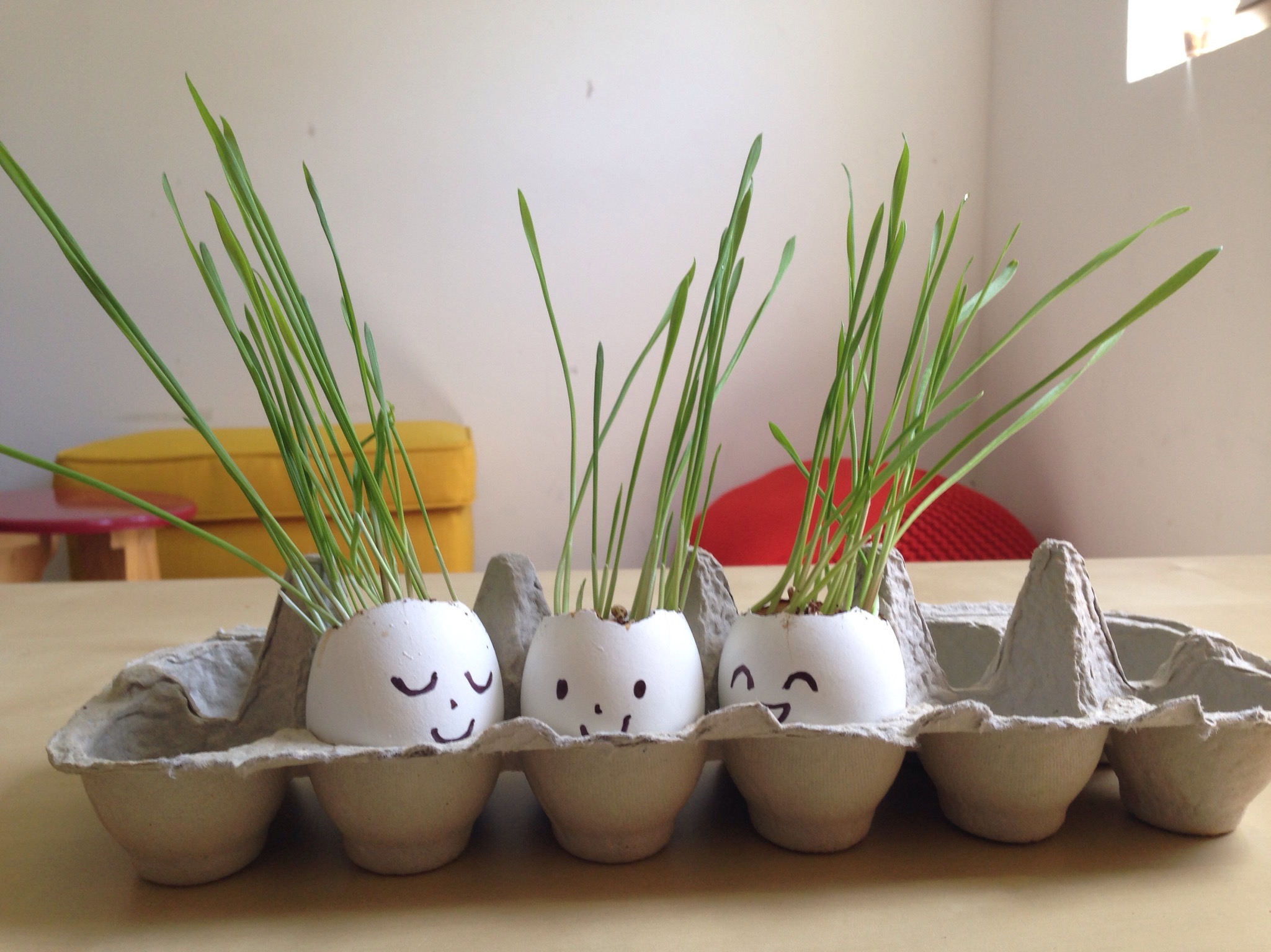 Egg Grass Heads: A craft your kids will GROW wild for! - Mother Natured