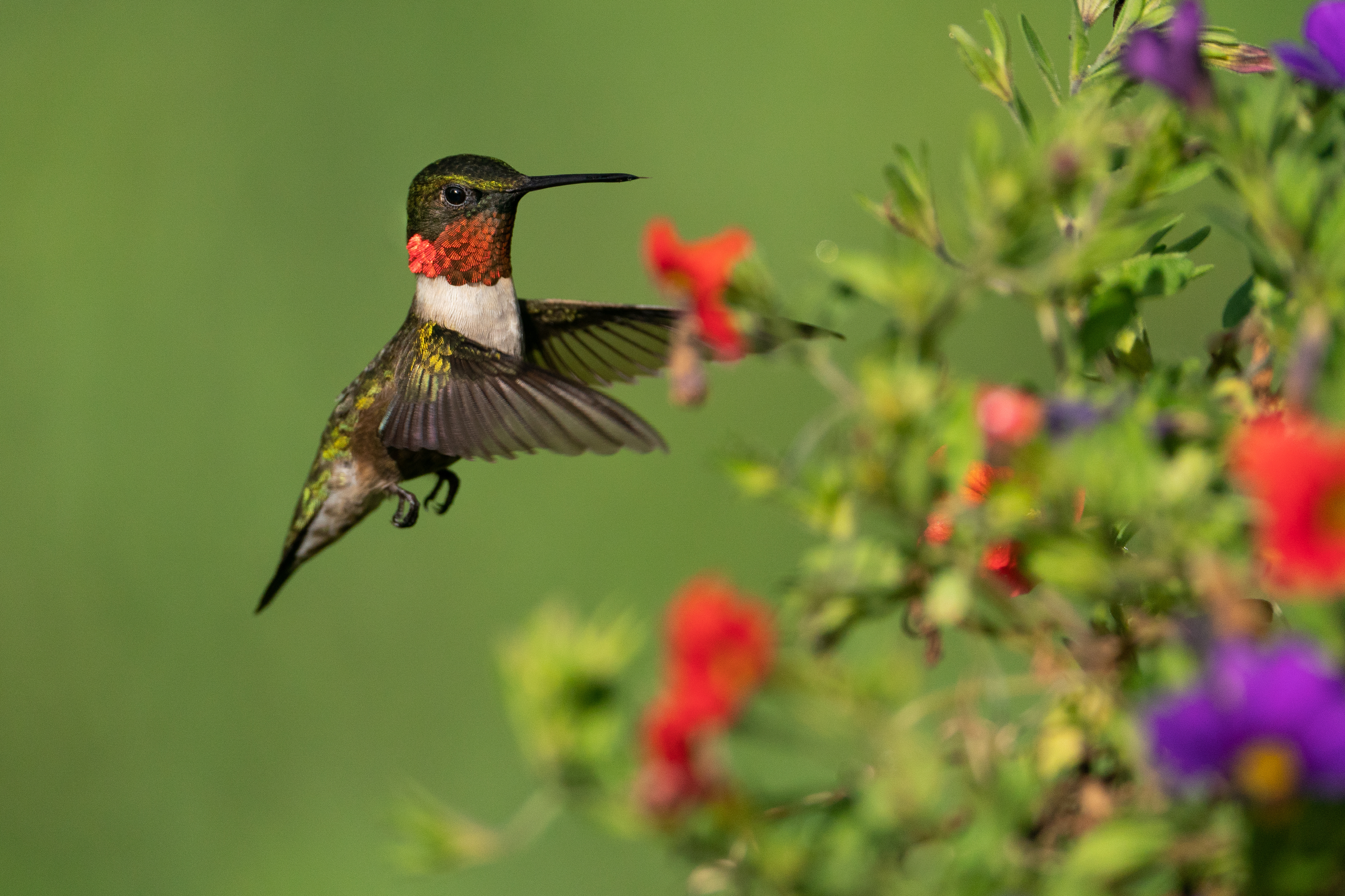 AdobeStock_509272531.jpeg