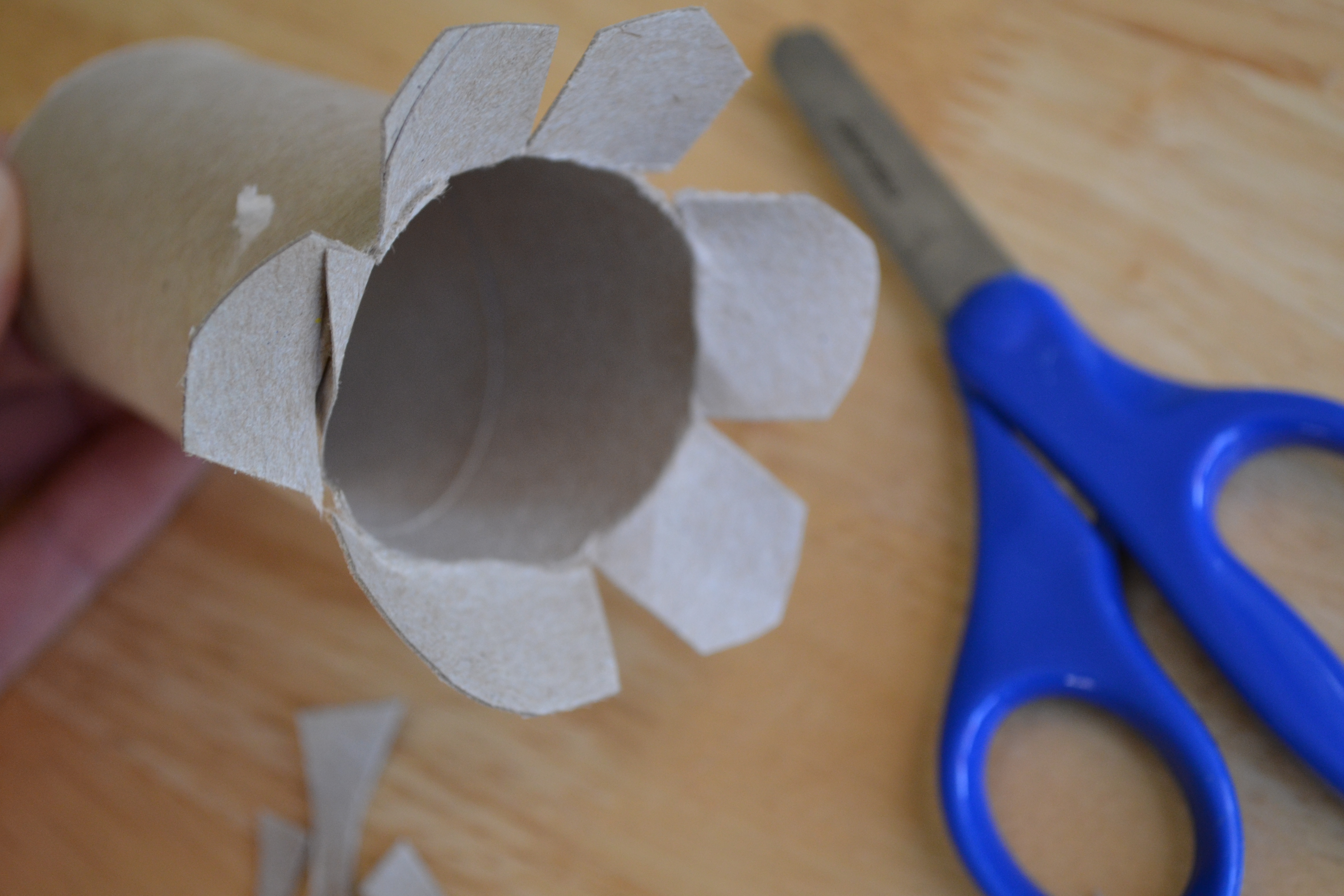 Make a toilet paper roll projector!