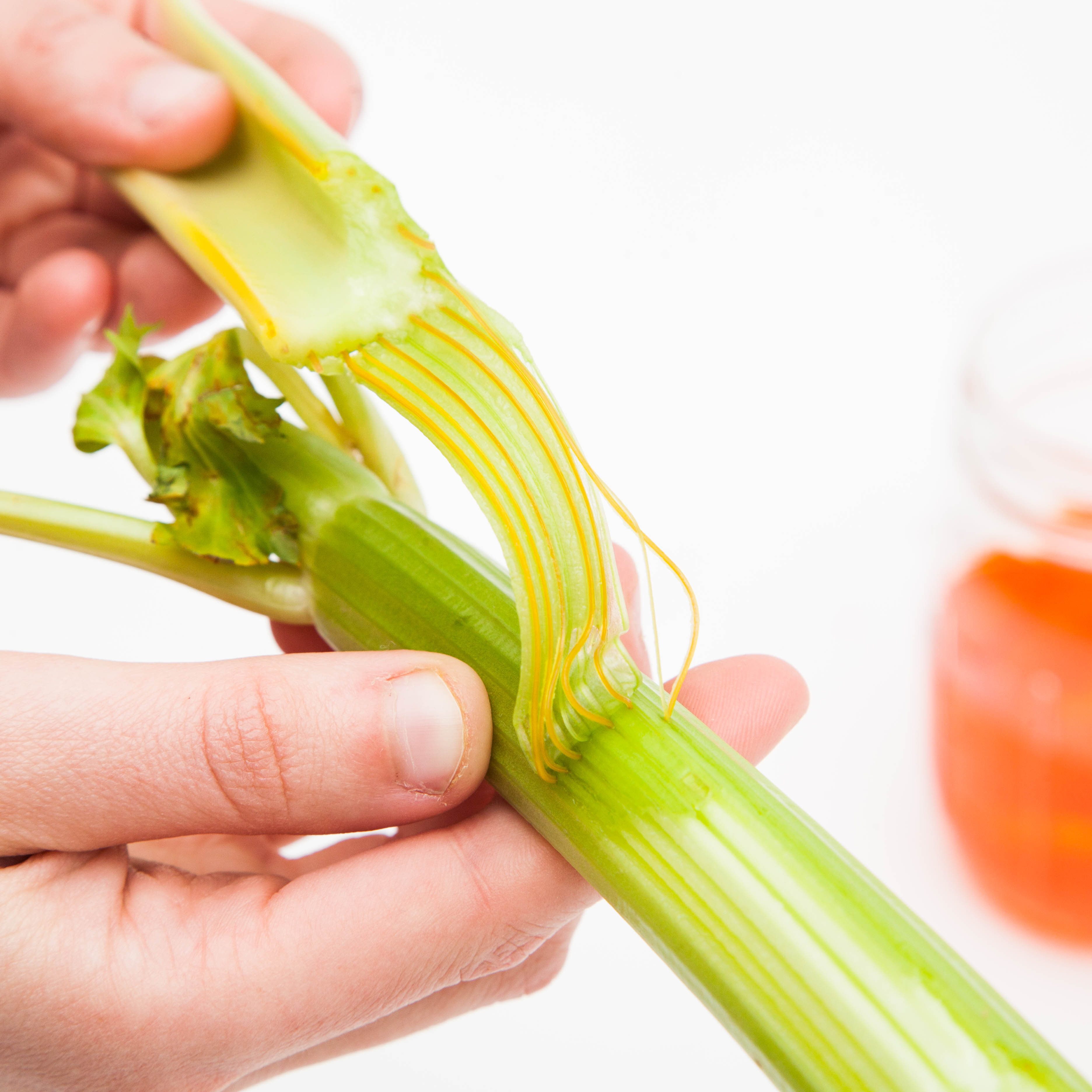 Celery Experiment DIY For Beginners KiwiCo