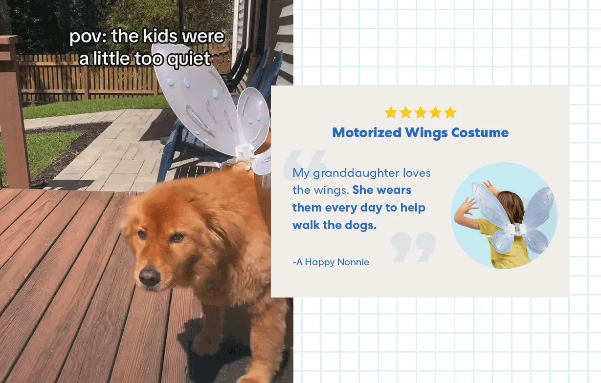 dog+review.webp
