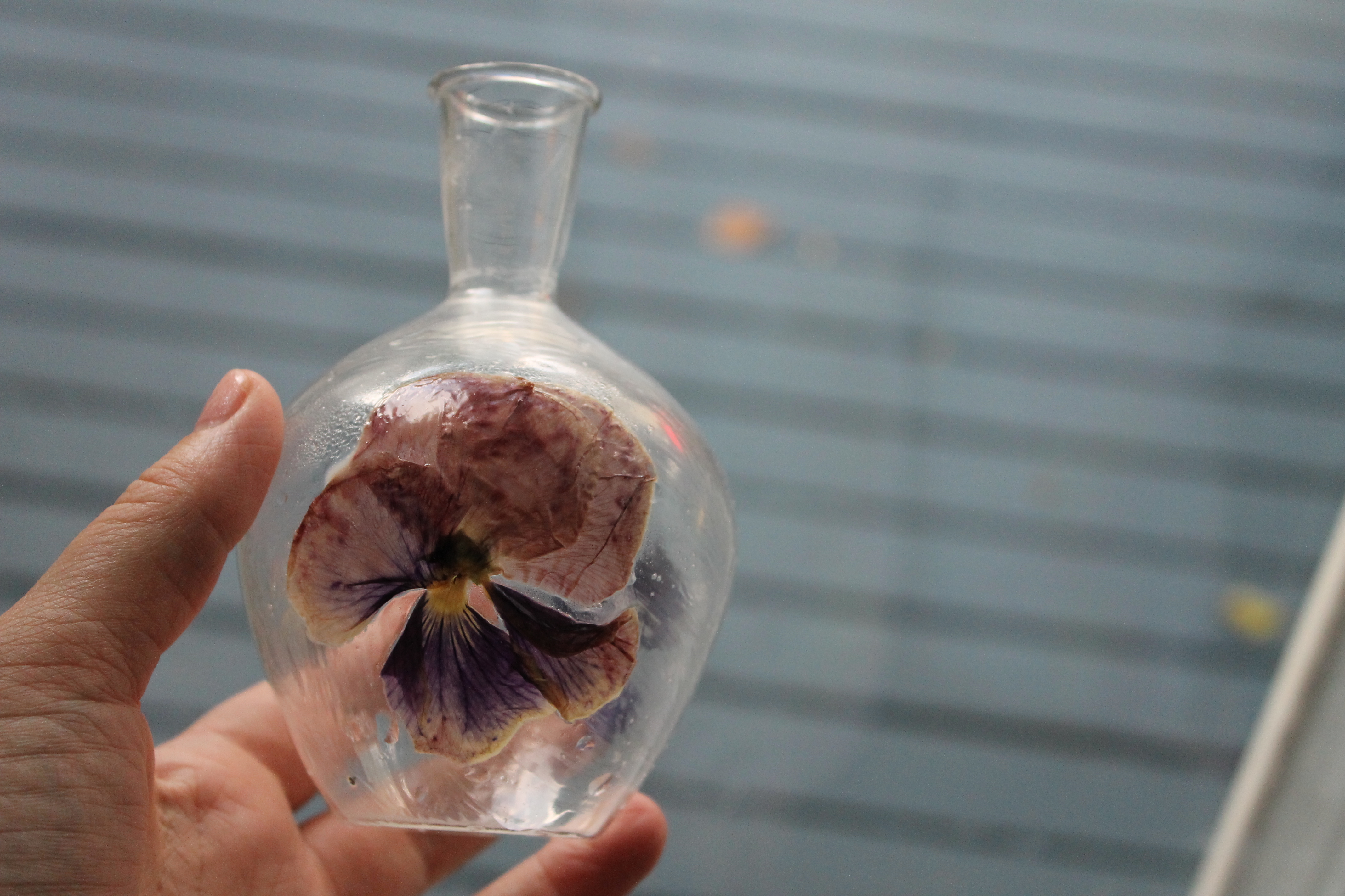 How to Make Pressed Flower Vases
