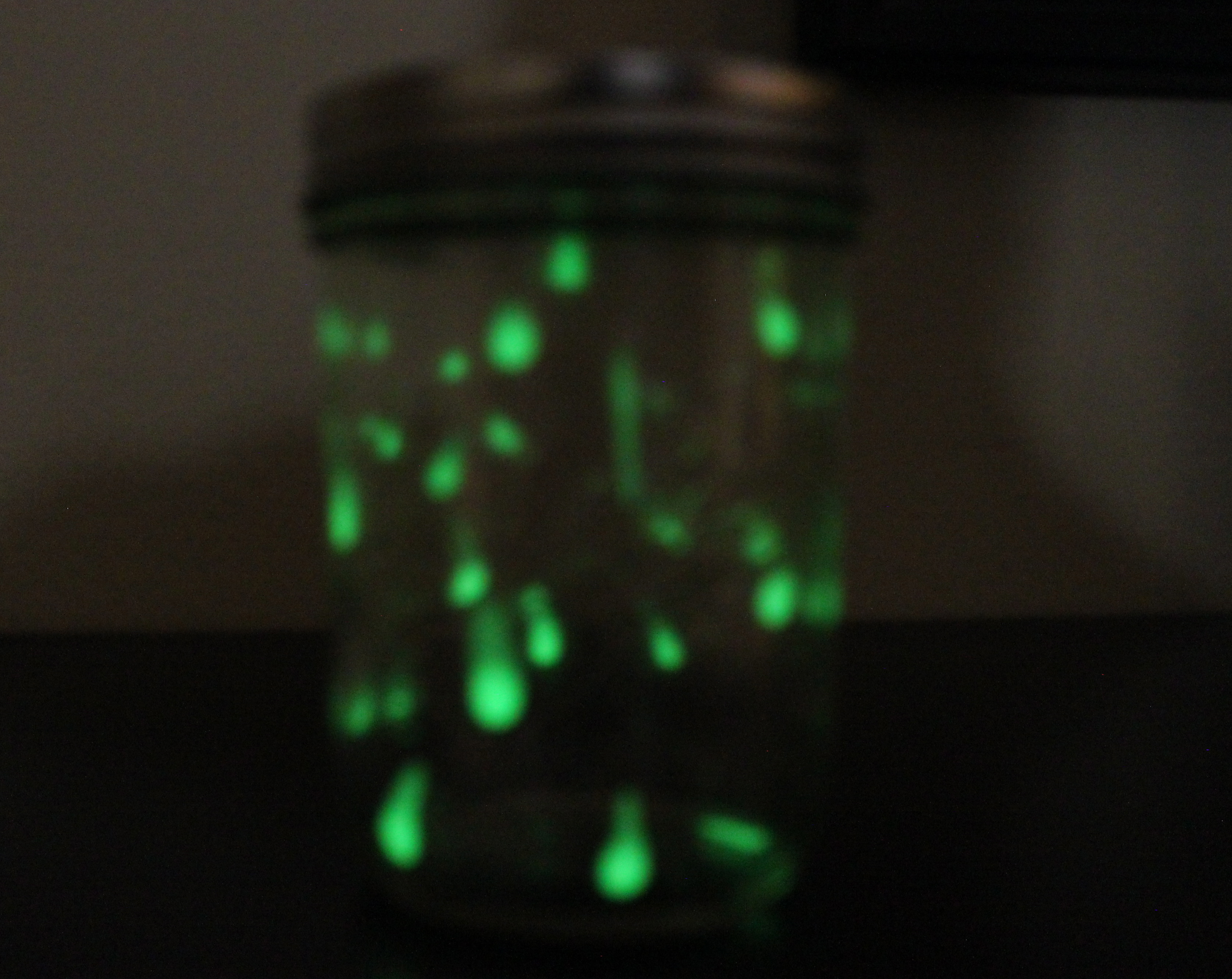 Firefly Glow Powder – MakerFlo Crafts