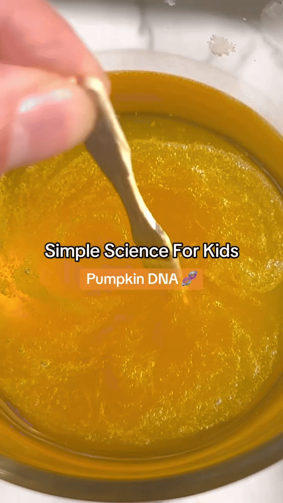 pumpkin-dna.gif
