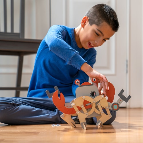 crab_cropped_2-500w.jpg