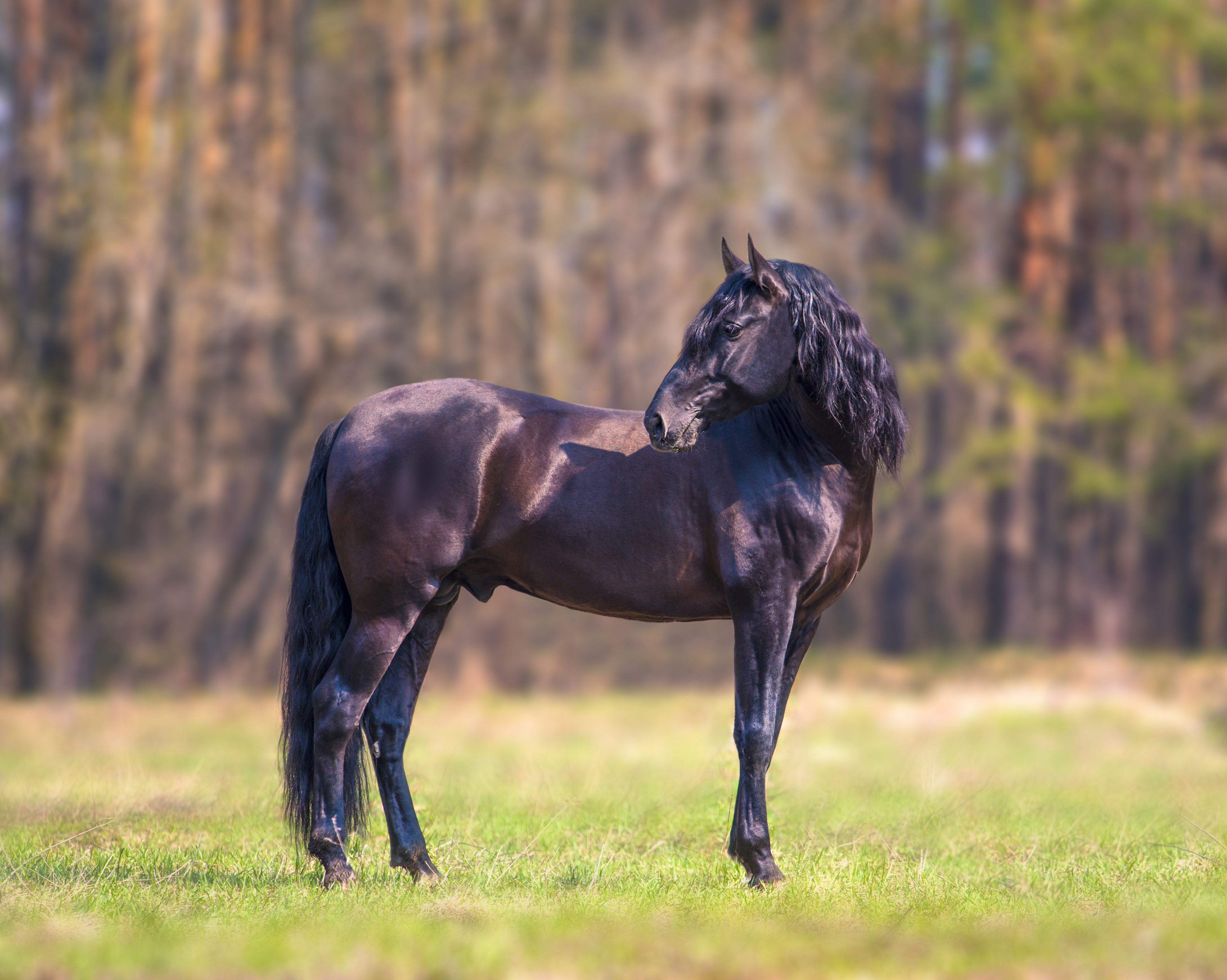 AdobeStock_82679521.jpeg