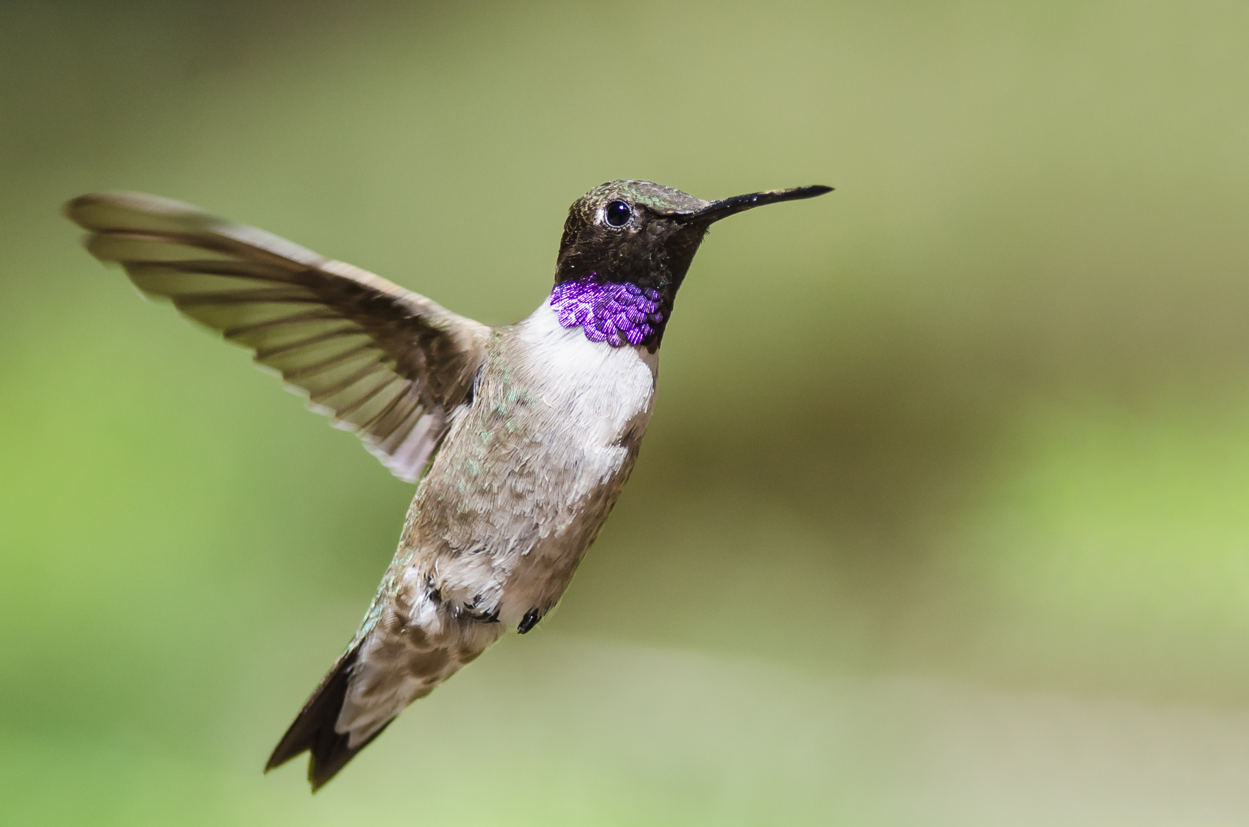 AdobeStock_219861603.jpeg