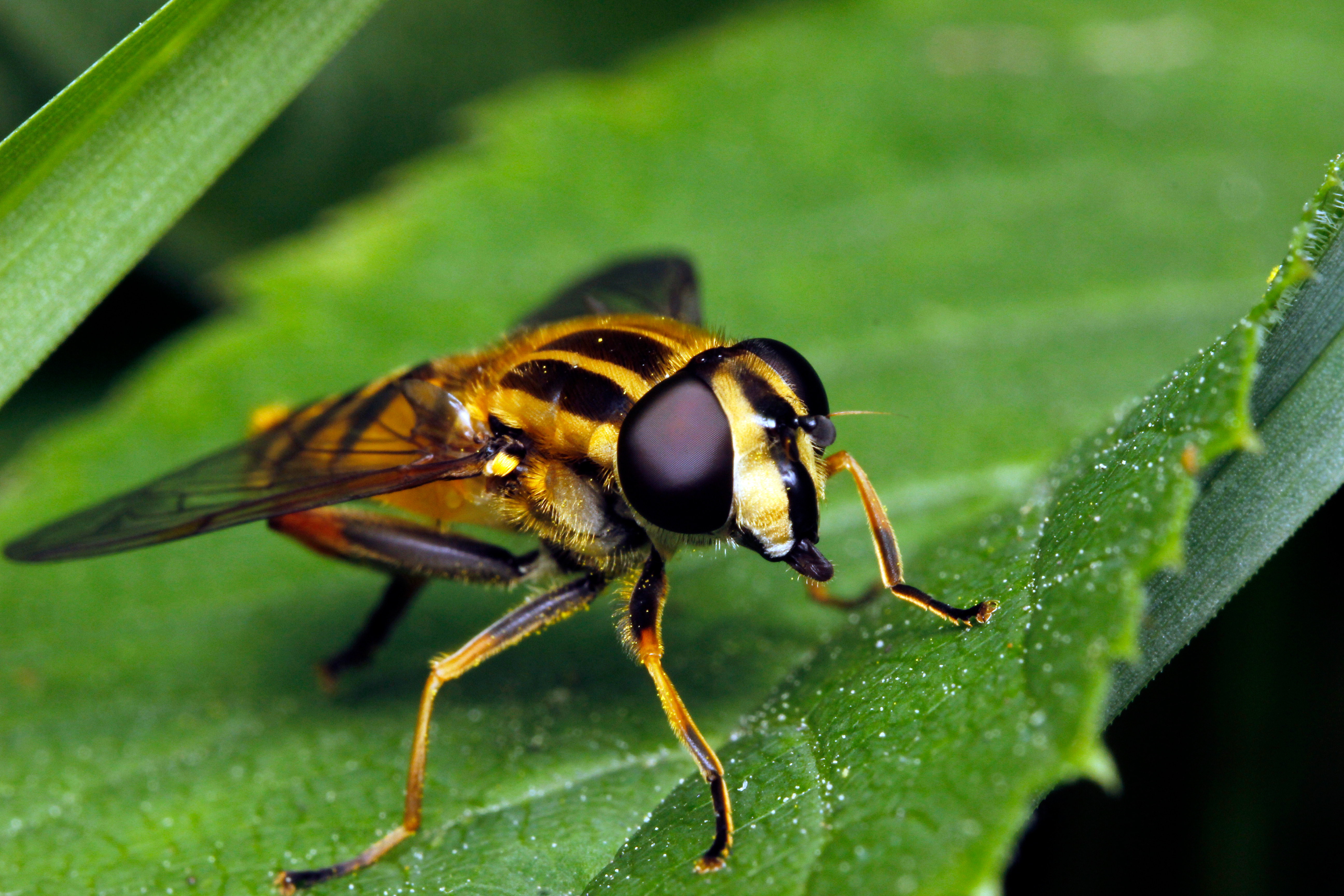 AdobeStock_2050529685.jpeg