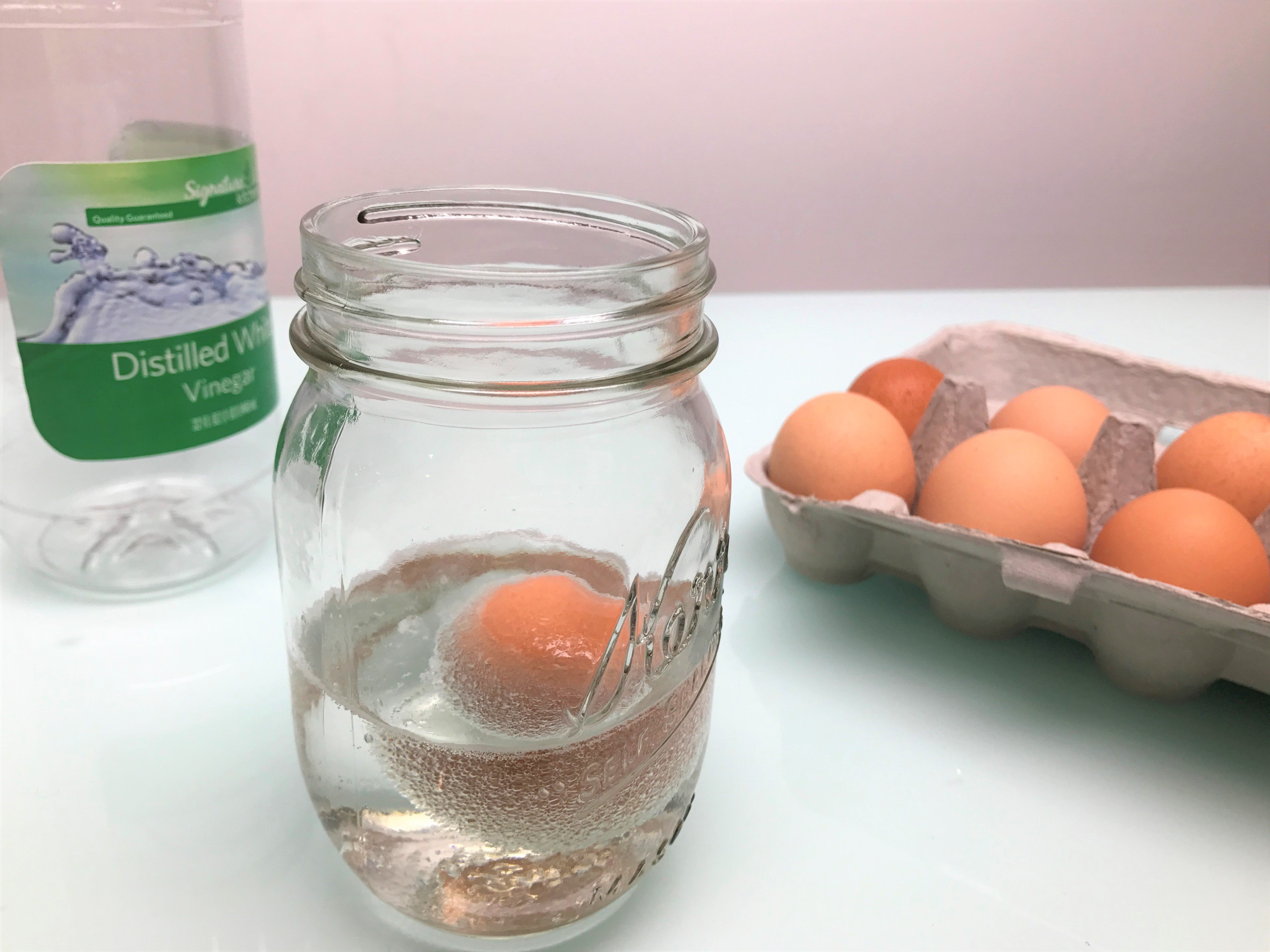 Egg And Vinegar Experiment