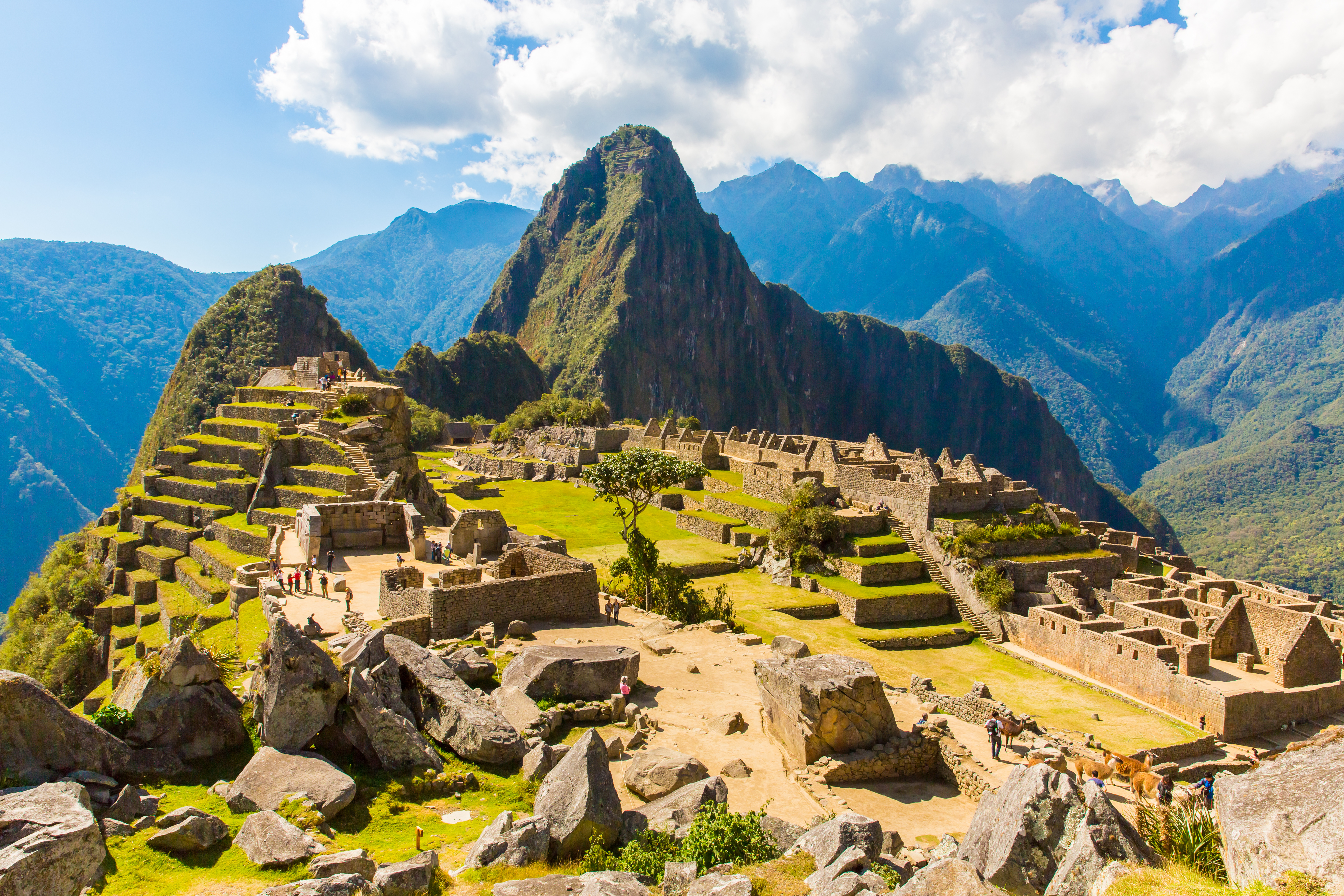 AdobeStock_58154255.jpeg