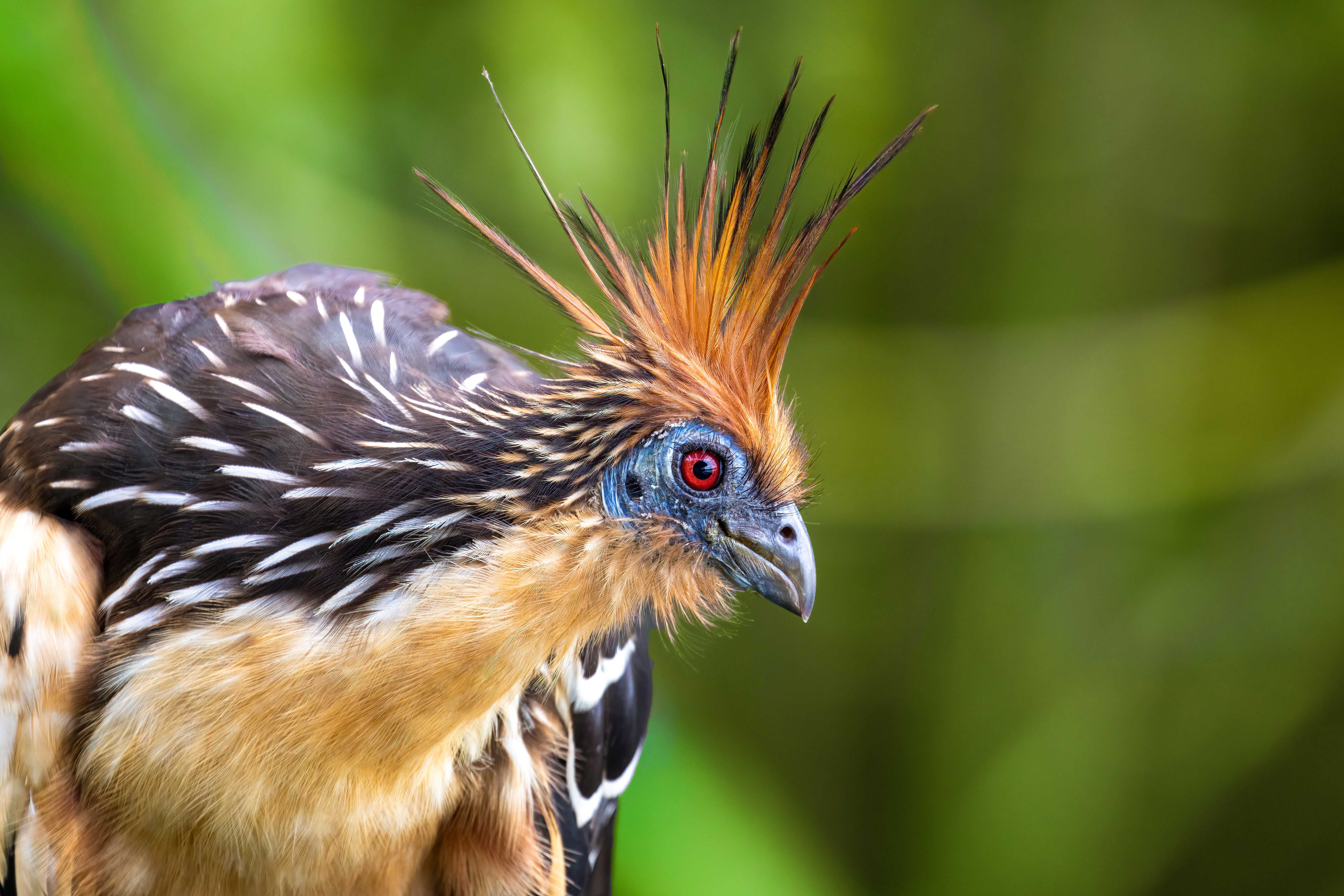 AdobeStock_1780206303.jpeg