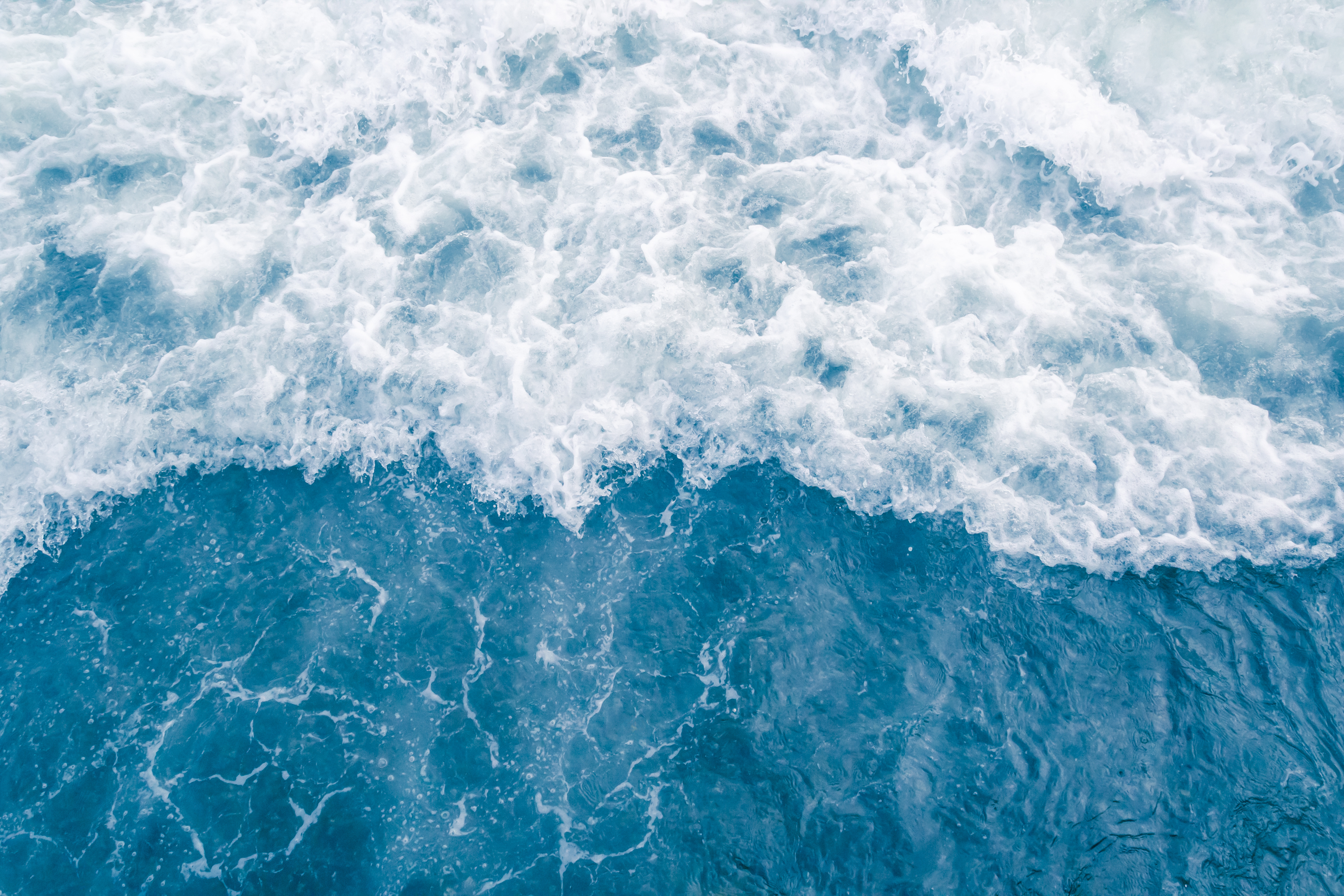 AdobeStock_255610390.jpeg