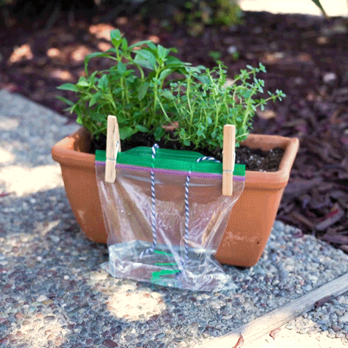 Self Watering Planter, DIY for Beginners