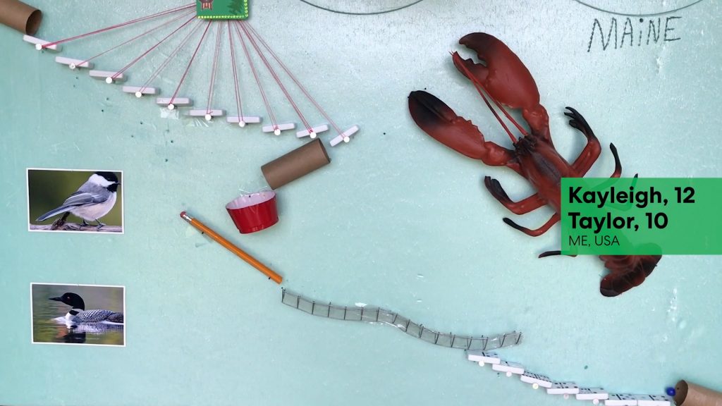 lobster-1-1024x576.jpg
