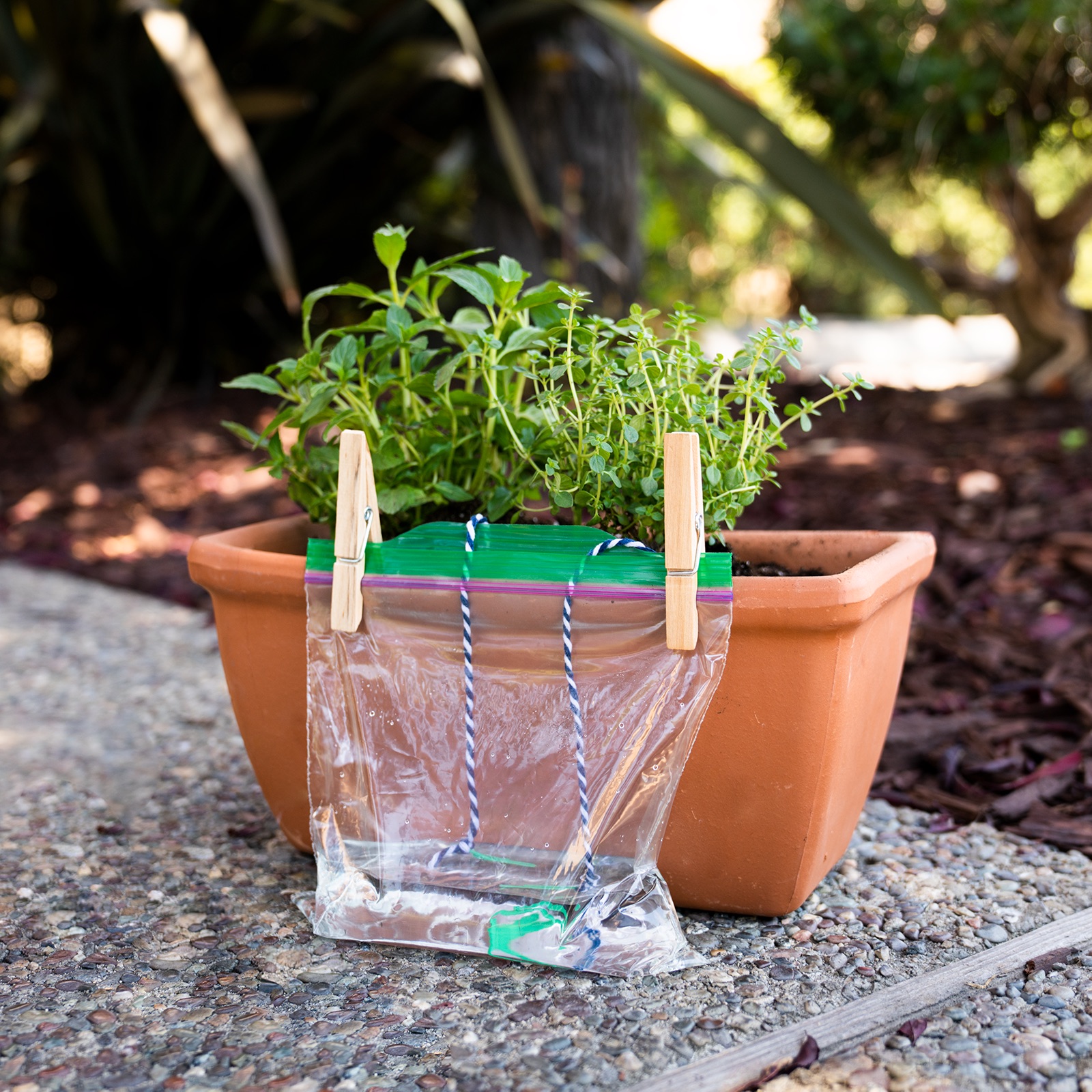 1. DIY Self-Watering Planter